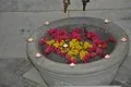 تامنبیل استخر قصر ملک ۲۰٪ تخفیف (با سقف متحرک)